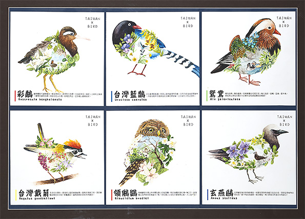 Taiwan  x  bird
